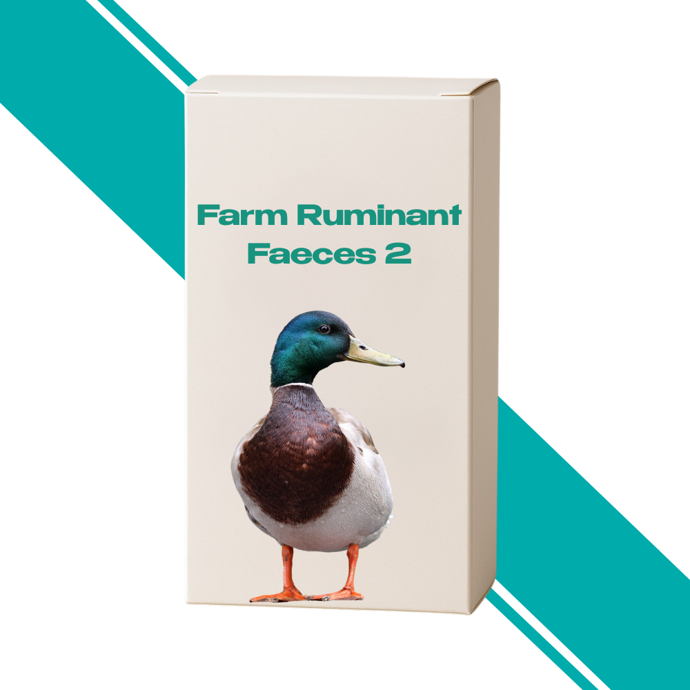 Farm Ruminant Faeces 2